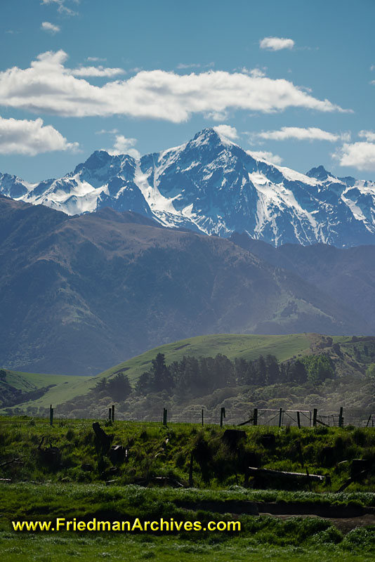 tourist,attraction,holiday,vacation,new zealand,landscape,postcard,scenic,fields,grazing,sheep,natural,